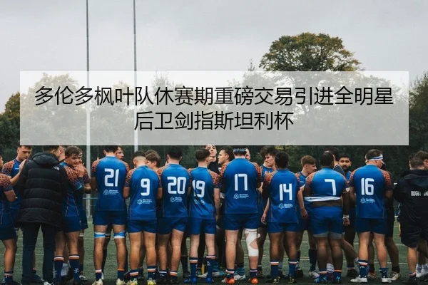 多伦多枫叶队休赛期重磅交易引进全明星后卫剑指斯坦利杯