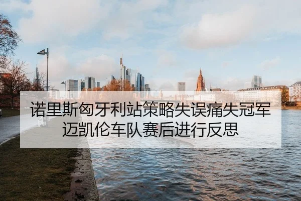 诺里斯匈牙利站策略失误痛失冠军 迈凯伦车队赛后进行反思